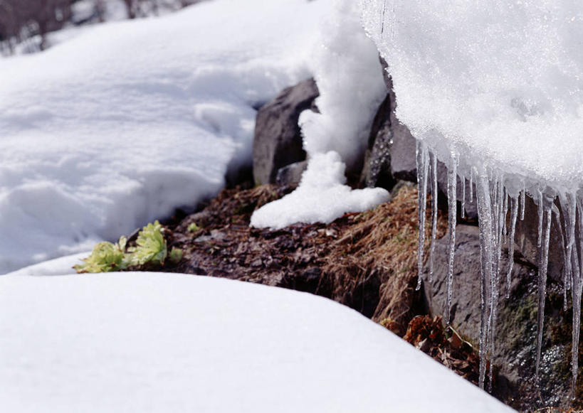 无人,横图,俯视,室外,特写,白天,旅游,度假,河流,美景,水,雪,大雪,北海道,日本,亚洲,吊挂,悬挂,清澈,冰,河水,积雪,景观,水流,雪景,冬季,冬天,冰块,冰柱,挂,娱乐,自然,享受,休闲,景色,放松,寒冷,冰冷,自然风光,东亚,札幌,日本国,北海道地方,北海道岛,严寒,县厅,冰凉,酷寒,凛冽,凛凛,极冷,清亮,彩图,高角度拍摄,札幌市