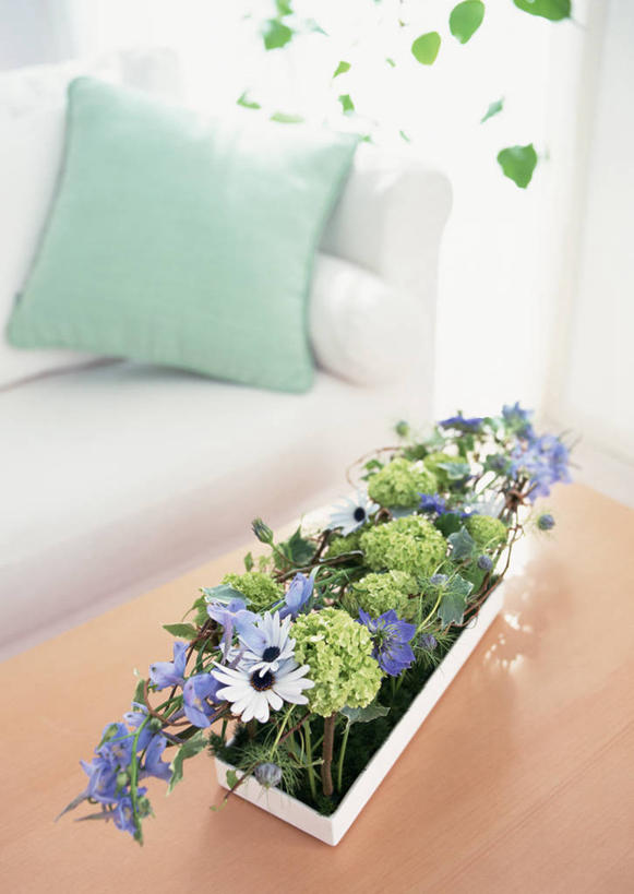 无人,客厅,竖图,俯视,室内,特写,白天,智慧,植物,靠垫,沙发,桌子,叶子,朦胧,模糊,艺术,盛开,木制,盆栽,绿叶,靠枕,盆景,花蕾,茶几,文化,花,花瓣,花朵,鲜花,绿色,自然,插花,木制品,垫子,枕头,花苞,花蕊,嫩叶,菊花,生长,成长,插花艺术,创造,起居室,创作,想象,布艺沙发,萝小花,翠雀,客堂,大花飞燕草,飞燕草,叶,叶片,彩图,高角度拍摄,白蓝菊