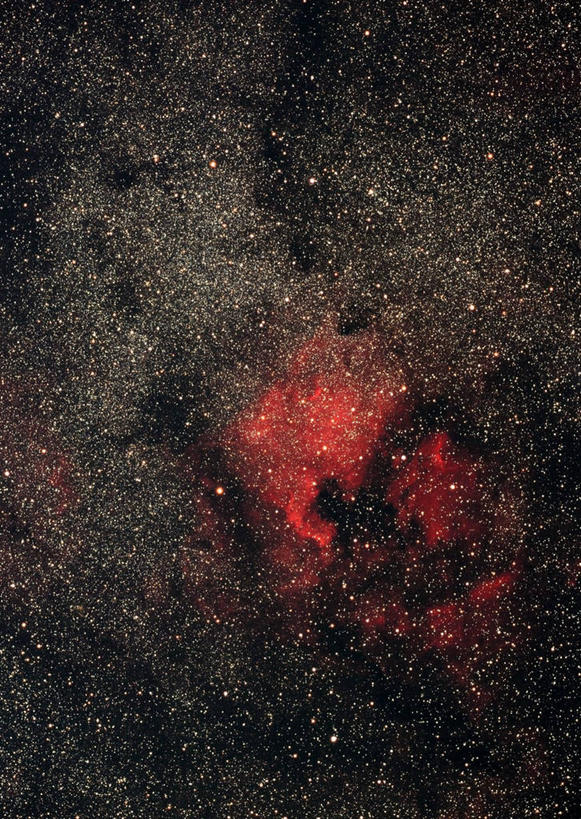 无人,竖图,室外,夜晚,正面,探险,神秘,宇宙,极光,星空,夜景,科学,太空,星球,星云,辉煌,浪漫,美丽,自然,灿烂,探索,北美洲星云,太阳系,星系,气象,发现,华丽,天体,美好,银河系,神奇,星体,天文学,外太空,绚烂,光耀,天鹅座,极光带,极光弧,极光幔,极光芒,极光片,发射星云,星夜,夜空,彩图,北美星云,鹈鹕星云