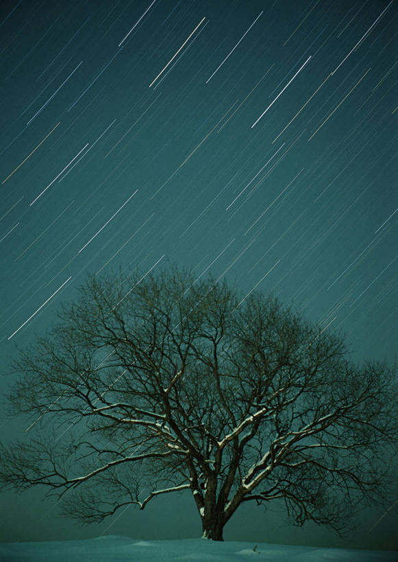 无人,竖图,室外,夜晚,仰视,神秘,极光,流星,美景,星空,植物,夜景,景观,背光,辉煌,浪漫,美丽,文化,树,树木,绿色,自然,祈祷,灿烂,景色,许愿,生长,成长,气象,华丽,祈求,天体,美好,天文,神奇,逆光,天文学,绚烂,光耀,极光带,极光弧,极光幔,极光芒,极光片,流星雨,星夜,夜空,彩图,低角度拍摄,猎户座流星雨