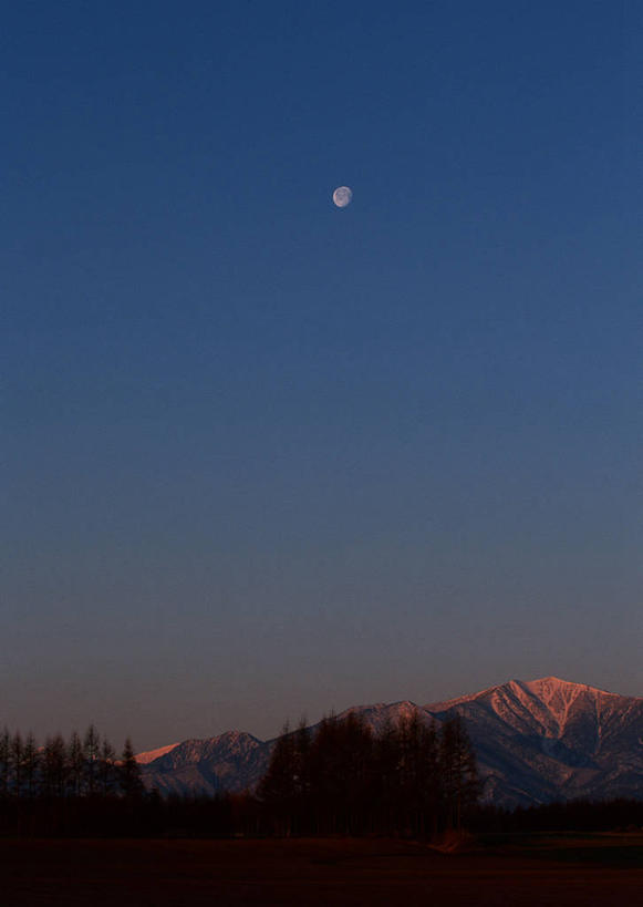 无人,竖图,室外,夜晚,仰视,旅游,度假,美景,森林,树林,雪,植物,大雪,北海道,日本,亚洲,积雪,景观,雪景,月亮,冬季,冬天,月光,娱乐,树,树木,蓝色,绿色,蓝天,天空,自然,天,享受,休闲,景色,放松,寒冷,生长,成长,明亮,自然风光,东亚,日本国,北海道地方,北海道岛,严寒,皎洁,彩图,低角度拍摄