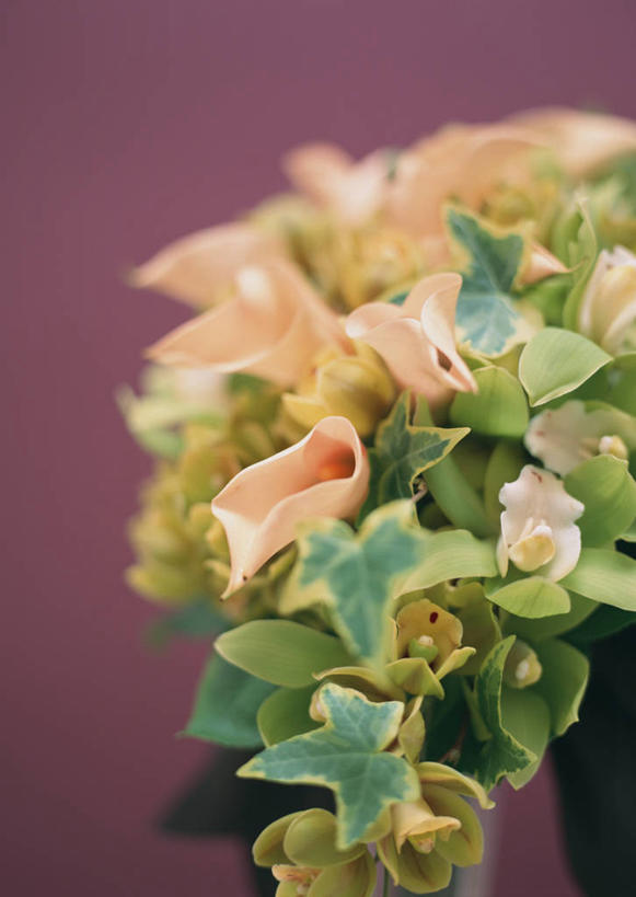 无人,竖图,室内,特写,白天,正面,婚礼,快乐,植物,叶子,紫色背景,庆祝,装饰,盛开,捧花,手捧花,纹理,长春藤,常春藤,绿叶,石斛,结婚,花蕾,花,花瓣,花朵,鲜花,绿色,花束,花苞,花蕊,一束,喜庆,嫩叶,摄影,影棚,纪念,华丽,修饰,点缀,高雅,柠檬叶,肌理,永恒,衬托,美观,雅致,雅观,石斛兰,不朽,忠实,洋常春藤,金钗石斛,淡泊,花中君子,大花蕙兰,西姆比兰,婚礼捧花,兰花,叶,叶片,叶脉,彩图,影棚拍摄,高兴,拍摄,黎檬,洋柠檬,常青藤