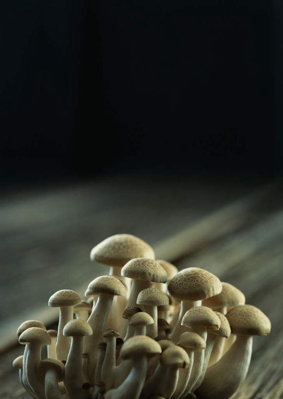 无人,竖图,俯视,室内,特写,白天,桌面,桌子,蔬菜,许多,阴影,新鲜,反射,木制,影子,菌菇,食品,很多,菌类,平菇,食物,木制品,食用菌,有机食品,绿色食品,姬菇,糙皮侧耳,侧耳,黑牡丹菇,彩图,高角度拍摄