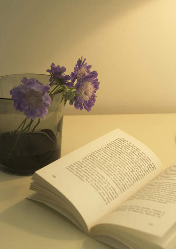 无人,竖图,俯视,室内,特写,白天,智慧,桌面,桌子,花瓶,书籍,一本,阴影,艺术,盛开,反射,木制,影子,陶瓷,陶瓷制品,花蕾,文化,花,花瓣,花朵,鲜花,一个,插花,木制品,瓶子,花苞,花蕊,打开,翻开,单个,插花艺术,创造,创作,想象,掀开,书,图书,彩图,高角度拍摄