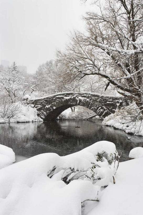 无人,竖图,室外,白天,正面,度假,湖,湖泊,石头,美景,水,雪,植物,大雪,城市风光,城市,纽约,美国,石子,湖面,积雪,景观,水流,水面,雪景,冬季,冬天,桥,曼哈顿,枝条,娱乐,石桥,拱桥,栈桥,树,树木,树枝,湖水,享受,休闲,景色,放松,寒冷,拱形,人行桥,石拱桥,北美,北美洲,美洲,中央公园,纽约中央公园,纽约州,帝国之州,帝国州,北亚美利加洲,亚美利加洲,严寒,虬枝,枝杈,石块,彩图,曼哈顿岛