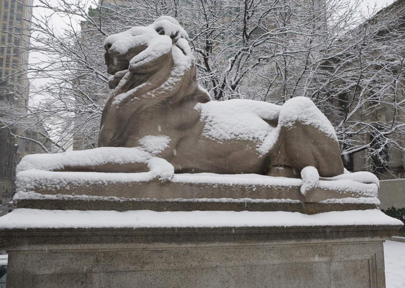 无人,横图,室外,白天,侧面,度假,美景,植物,城市风光,城市,哺乳动物,野生动物,狮子,雕塑,纽约,美国,艺术,装饰,雕刻,雕像,景观,曼哈顿,枝条,娱乐,树,树木,树枝,动物,工艺品,趴着,享受,休闲,景色,放松,纪念,美术,北美,北美洲,主题,美洲,凶猛,陈列,第五大道,纽约州,帝国之州,帝国州,功能,美学,北亚美利加洲,亚美利加洲,纽约第五街,虬枝,枝杈,残暴,凶残,趴,彩图,全身,曼哈顿岛