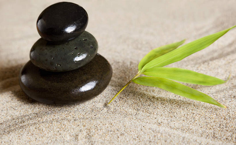 无人,横图,俯视,室外,特写,白天,按摩,美容,石头,植物,叶子,一堆,护肤,阴影,堆叠,堆积,反射,沙子,石子,影子,绿叶,三个,绿色,黑色,自然,保养,享受,休闲,嫩叶,鹅卵石,放松,SPA水疗,保健,温泉浴场,生长,成长,堆,按摩石,养颜,叶,叶片,石块,矿泉疗养地,彩图,高角度拍摄,水疗