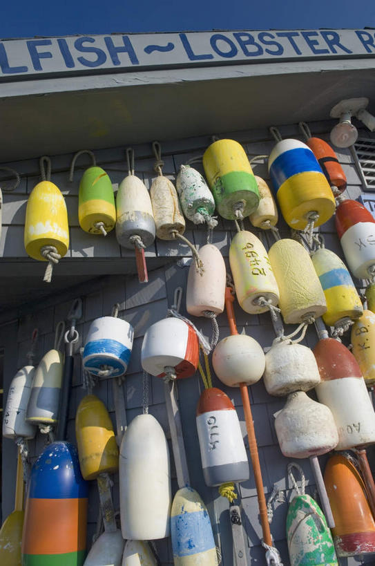 无人,竖图,室外,白天,仰视,美景,指示牌,美国,一排,许多,吊挂,悬挂,整齐,英文,标志,文字,字符,字母,墙,景观,很多,挂,标识,墙壁,墙面,排列,蓝色,白色,自然,景色,英文字母,渔具,北美,北美洲,队列,自然风光,美洲,缅因州,北亚美利加洲,亚美利加洲,缅因,松林之州,鱼具,彩图,低角度拍摄