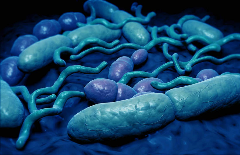 无人,横图,插画,室内,白天,正面,数码,科技,静物,阴影,网络,细菌,医学,高光,几何,计算机图形,合成,图画,画,蓝色,黑色,生物,人体,电脑合成图,数码合成图,医疗,生物学,漫画,生理学,写实,具体,具象,彩图