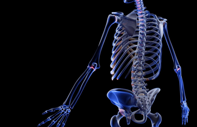 锁骨,肩胛骨,动脉,静脉,骨骼,肋骨,脊椎,骨盆,无人,横图,插画,x光片,室内,特写,白天,正面,数码,科技,静物,阴影,黑色背景,辐射,科学,网络,医学,骨头,高光,几何,计算机图形,合成,图画,画,模型,人体,电脑合成图,数码合成图,骨架,医疗,生物学,科学技术,x射线,手骨,盆骨,x光,漫画,生理学,写实,具体,具象,肱骨,股骨,桡骨,指骨,椎骨,脊椎骨,坐骨,脊柱,彩图,电磁波,电磁辐射