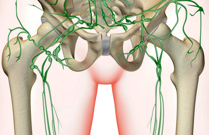 内脏,动脉,静脉,无人,横图,插画,室内,白天,白色背景,正面,数码,科技,静物,阴影,网络,医学,高光,几何,计算机图形,合成,图画,画,模型,人体,电脑合成图,数码合成图,生物学,人体器官,器官,漫画,生理学,写实,具体,具象,淋巴结,淋巴系统,淋巴管,淋巴组织,免疫系统,免疫组织,彩图