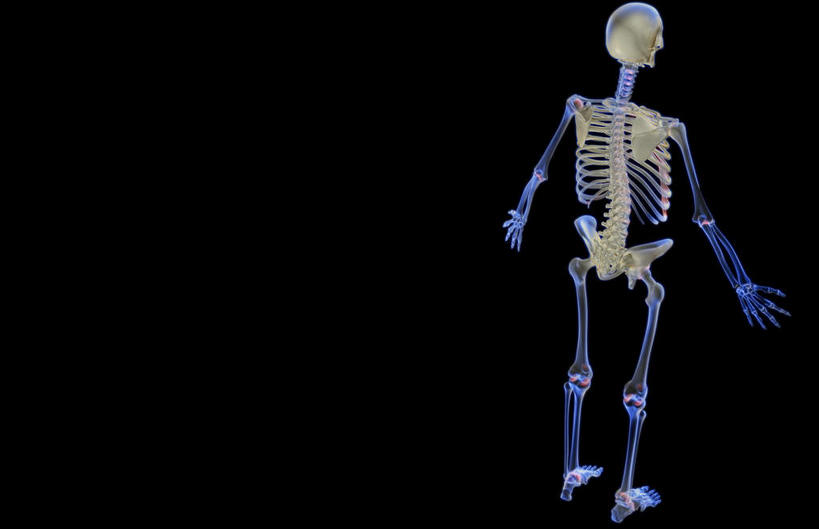 骨骼,肋骨,无人,横图,x光片,室内,白天,正面,数码,科技,阴影,黑色背景,发光,辐射,科学,网络,医学,骨头,高光,几何,计算机图形,合成,电脑合成图,数码合成图,骨架,医疗,科学技术,x射线,x光,写实,具体,具象,骨骼系统,半身,彩图,全身,电磁波,电磁辐射