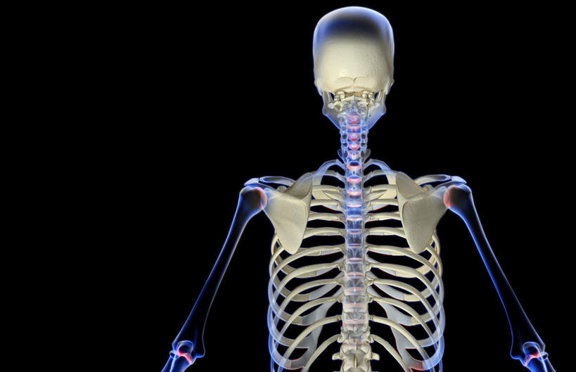 骨骼,无人,横图,x光片,室内,白天,正面,数码,科技,阴影,黑色背景,发光,辐射,科学,网络,医学,骨头,高光,几何,计算机图形,合成,蓝色,电脑合成图,数码合成图,骨架,医疗,科学技术,x射线,x光,写实,具体,具象,胸椎,彩图,电磁波,电磁辐射