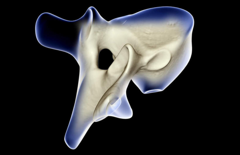 脊髓,骨骼,无人,横图,x光片,室内,白天,正面,数码,科技,阴影,黑色背景,发光,辐射,科学,网络,医学,骨头,高光,几何,计算机图形,合成,蓝色,电脑合成图,数码合成图,骨架,医疗,科学技术,x射线,x光,写实,具体,具象,腰椎,脊柱,彩图,电磁波,电磁辐射
