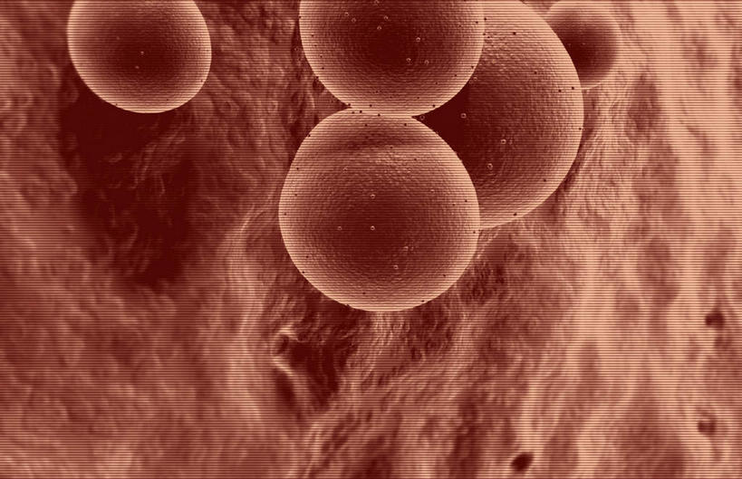 无人,横图,插画,室内,特写,白天,正面,数码,科技,微生物,静物,阴影,网络,医学,细胞,高光,几何,计算机图形,合成,图画,画,人体,电脑合成图,数码合成图,疾病,生物学,漫画,生理学,写实,具体,具象,葡萄球菌,球菌,彩图