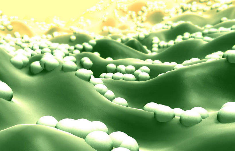 无人,横图,插画,室内,特写,白天,正面,数码,科技,静物,一排,绿色背景,阴影,整齐,网络,细菌,医学,细胞,高光,几何,计算机图形,合成,图画,画,排列,白色,人体,电脑合成图,数码合成图,生物学,队列,漫画,生理学,写实,具体,具象,球菌,彩图