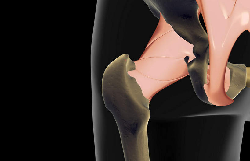 动脉,静脉,骨骼,无人,横图,插画,室内,特写,白天,正面,数码,科技,静物,阴影,黑色背景,局部,网络,医学,骨头,高光,几何,计算机图形,合成,图画,画,模型,人体,部分,电脑合成图,数码合成图,骨架,生物学,漫画,生理学,写实,具体,具象,尾骨,半身,彩图