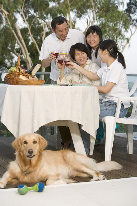 东方人,家庭,坐,说,竖图,室外,白天,正面,讨论,植物,餐桌,桌子,宠物,狗,亚洲,阴影,服装,光线,影子,许多人,休闲装,黄种人,树,树木,食物,衣服,绿色,阳光,自然,动物,趴着,一群人,休闲,温暖,温馨,一家人,休闲服,可爱,服饰,生长,成长,餐台,和睦,忠诚,交流,男人,男性,年轻男性,年轻女性,女人,女性,亚洲人,犬,沟通,讲话,交谈,趴,商讨,说话,谈话,坐着,彩图,全身,融洽