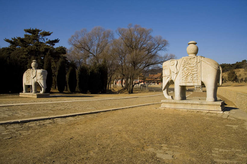 背,无人,站,横图,室外,白天,仰视,旅游,度假,名胜古迹,植物,标志建筑,道路,地标,建筑,路,哺乳动物,大象,野生动物,纺织品,雕塑,中国,亚洲,两头,阴影,遗迹,艺术,装饰,光线,雕刻,雕像,毛毯,毯子,影子,陶瓷,小路,陶瓷制品,交通,古迹,文物,娱乐,建设,古建筑,相视,石板路,树,树木,纺织,两个,蓝色,绿色,蓝天,天空,阳光,自然,动物,容器,工艺品,垫子,天,背着,站着,享受,休闲,墓地,温暖,面对面,旅游胜地,放松,生长,晴朗,成长,纪念,储藏,对视,华丽,修饰,美术,点缀,缸,坟墓,陵墓,互视,储存,主题,相对,陈列,坟场,古文明,东亚,万里无云,相看,中华人民共和国,华北地区,功能,美学,衬托,美观,雅致,雅观,河北,河北省,冀,背负,唐山,唐山市,晴空,晴空万里,象,站立,彩图,低角度拍摄,贮存,东陵,清东陵,遵化,遵化市