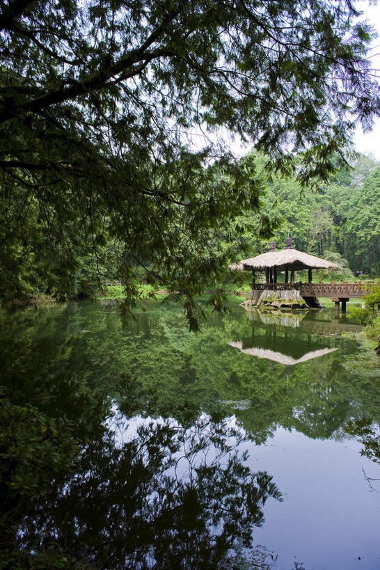 无人,栏杆,竖图,室外,白天,正面,旅游,度假,湖,湖泊,美景,森林,树林,水,植物,台湾,中国,亚洲,阴影,光线,木板,影子,亭子,湖面,景观,水流,水面,围栏,桥,木桥,娱乐,护栏,栈桥,树,树木,绿色,倒影,阳光,自然,凉亭,湖水,享受,休闲,景色,放松,生长,成长,人行桥,木板桥,倒映,自然风光,独木桥,东亚,嘉义,阿里山国家风景区,阿里山,港澳台,中华人民共和国,台湾省,嘉义市,反照,彩图,台