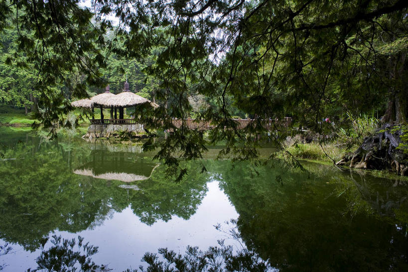无人,横图,室外,白天,正面,旅游,度假,湖,湖泊,美景,水,植物,台湾,中国,亚洲,阴影,光线,瓦片,影子,柱子,亭子,屋顶,屋檐,湖面,景观,水流,水面,顶棚,娱乐,檐,树,树木,绿色,倒影,阳光,自然,凉亭,湖水,享受,休闲,景色,放松,生长,成长,倒映,自然风光,东亚,嘉义,阿里山国家风景区,阿里山,港澳台,中华人民共和国,台湾省,嘉义市,反照,彩图,台