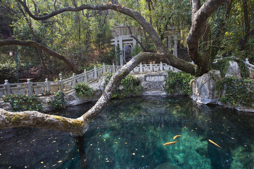 无人,栏杆,横图,室外,白天,正面,旅游,度假,名胜古迹,植物,标志建筑,地标,建筑,大理,中国,亚洲,波纹,遗迹,池塘,水池,围栏,枝条,涟漪,古迹,文物,娱乐,建设,古建筑,护栏,云南,树,树木,树枝,绿色,倒影,水纹,自然,波浪,享受,休闲,旅游胜地,放松,生长,成长,倒映,蝴蝶泉,古文明,东亚,云南省,中华人民共和国,水晕,西南地区,滇,大理州,大理白族自治州,反照,虬枝,枝杈,彩图,苍山,大理蝴蝶泉