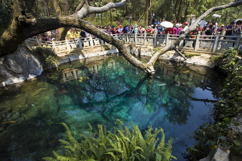 东方人,站,走,横图,俯视,室外,白天,旅游,度假,河流,美景,水,植物,大理,中国,亚洲,行人,阴影,服装,光线,伞,影子,雨伞,遮阳伞,池塘,河水,景观,水池,水流,枝条,许多人,注视,休闲装,黄种人,娱乐,阳伞,云南,路人,树,树木,树枝,衣服,绿色,倒影,阳光,自然,观察,看,站着,一群人,享受,休闲,休闲服,景色,放松,服饰,生长,成长,观看,察看,倒映,太阳伞,关注,自然风光,蝴蝶泉,东亚,云南省,中华人民共和国,西南地区,滇,大理州,大理白族自治州,反照,虬枝,枝杈,过客,男人,男性,年轻男性,年轻女性,女人,女性,亚洲人,步行,散步,站立,走路,半身,彩图,高角度拍摄,苍山,大理蝴蝶泉