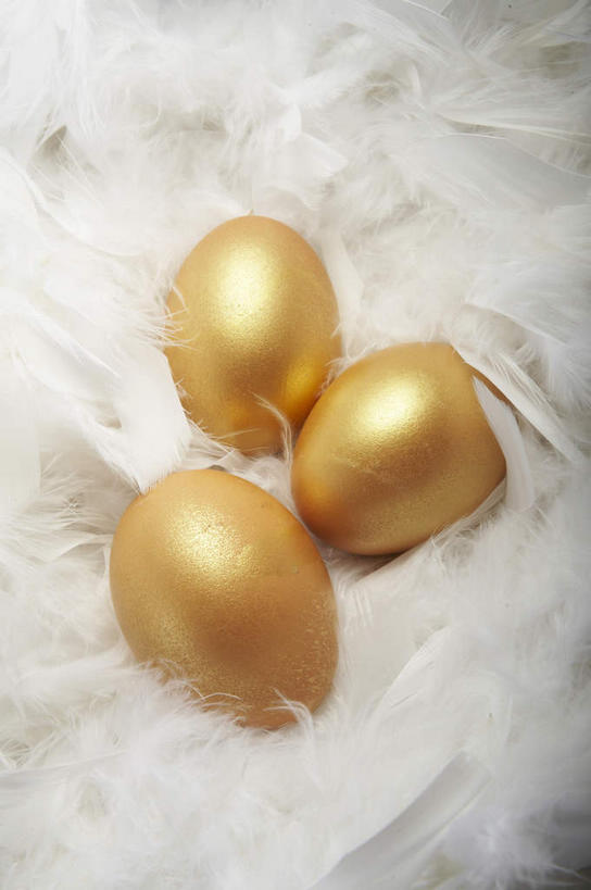 无人,竖图,俯视,室内,特写,白天,羽毛,轻盈,柔软,蛋,三个,白色,金色,金融,理财,经济,金蛋,流通,贸易,轻柔,卵,彩图,高角度拍摄