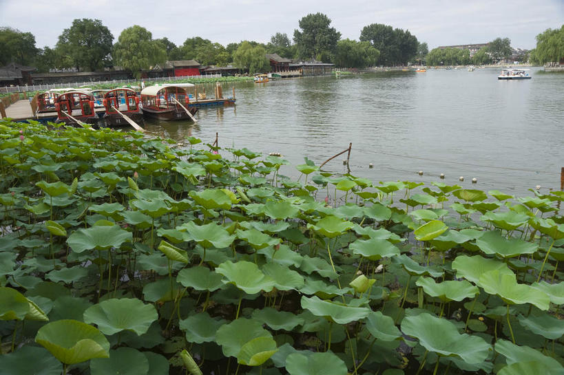 无人,横图,室外,白天,正面,旅游,度假,湖,湖泊,美景,树林,水,植物,船,叶子,北京,中国,亚洲,一艘,阴影,漂浮,光线,影子,湖面,景观,水流,水面,游艇,荷叶,首都,娱乐,什刹海,树,树木,蓝色,绿色,蓝天,天空,阳光,自然,交通工具,湖水,天,享受,休闲,景色,放松,生长,晴朗,成长,漂流,自然风光,载具,东亚,万里无云,中华人民共和国,北京市,京,北平,华北地区,莲叶,流浪,流落,流散,漂泊,飘泊,飘流,叶,叶片,晴空,晴空万里,彩图,十刹海
