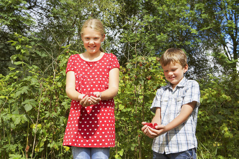 西方人,儿童,两个人,家庭,兄弟,姐妹,站,捧,笑,微笑,露齿笑,横图,室外,白天,仰视,衬衫,裙子,纯洁,草地,草坪,植物,浆果,水果,欧洲,欧洲人,一堆,许多,阴影,堆叠,堆积,连衣裙,新鲜,装饰,光线,方格,格子,影子,圆点,桑葚,生食,食品,果实,注视,草,树,树木,食物,小孩,绿色,阳光,自然,覆盆子,观察,看,站着,温暖,温馨,一家人,辫子,金色,可爱,童年,童趣,有机食品,绿色食品,生长,成长,观看,堆,华丽,修饰,点缀,和睦,察看,关注,童真,烂漫,无邪,衬托,美观,雅致,雅观,天真,男孩,男人,男性,女孩,女人,女性,白种人,端,端着,捧着,手捧,站立,半身,彩图,低角度拍摄,衬衣,融洽,男生,女生
