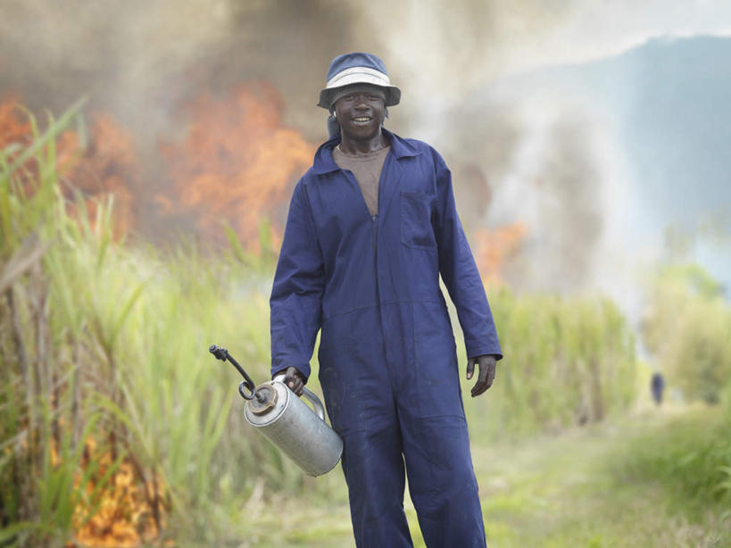 西方人,一个人,站,横图,室外,白天,正面,工作服,制服,热情,火,帽子,水果,金属制品,欧洲,非洲,黑人,欧洲人,仅一个男性,仅一个人,握,服装,朦胧,模糊,新鲜,金属,壶,火焰,生食,食品,果实,甘蔗,燃烧,拿,拿着,注视,运动帽,食物,仅一个年轻男性,衣服,蓝色,容器,观察,看,站着,鸭舌帽,握着,服饰,有机食品,绿色食品,观看,储藏,察看,衣着,储存,穿着,关注,油壶,工作制服,衣饰,糖蔗,竹蔗,男人,男性,年轻男性,非洲人,站立,半身,彩图,工作套服,贮存