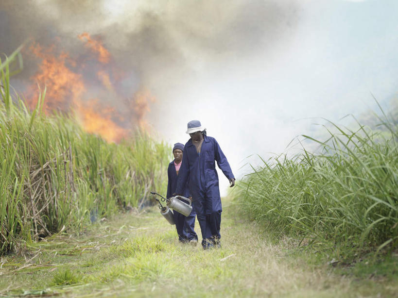 西方人,两个人,伙伴,朋友,走,横图,室外,白天,正面,工作服,制服,友谊,热情,合作,团队,火,帽子,水果,金属制品,欧洲,非洲,黑人,欧洲人,握,服装,新鲜,金属,壶,火焰,生食,食品,果实,甘蔗,燃烧,拿,拿着,注视,运动帽,食物,衣服,蓝色,容器,观察,看,鸭舌帽,战略,握着,服饰,有机食品,绿色食品,观看,储藏,察看,衣着,储存,穿着,关注,油壶,联合,合谋,工作制服,衣饰,糖蔗,竹蔗,配合,协作,男人,男性,年轻男性,非洲人,步行,散步,走路,彩图,全身,工作套服,贮存