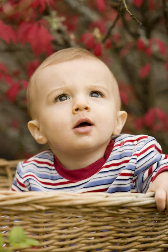 西方人,婴儿,儿童,一个人,坐,竖图,室外,特写,白天,正面,纯洁,花海,花圃,植物,叶子,欧洲,欧洲人,仅一个人,握,服装,朦胧,模糊,盛开,篮子,拿,花蕾,拿着,注视,休闲装,花,花瓣,花朵,花卉,鲜花,小孩,衣服,绿色,花丛,花束,花田,花苞,花蕊,看,张嘴,休闲,休闲服,可爱,握着,服饰,活泼,便利,存放,关注,载具,宝宝,张大嘴巴,纯真,烂漫,无邪,快捷,方便,寄存,寄放,暂存,伶俐,天真,白种人,孩子,张开嘴,抬头,仰头,坐着,半身,彩图,草编婴儿篮,婴儿篮