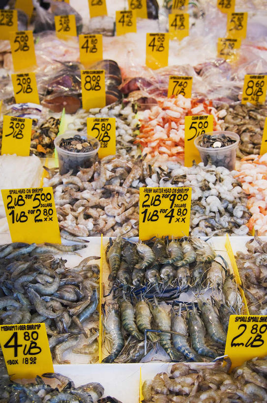 海鲜,无人,商店,竖图,俯视,室内,特写,白天,购物,消费,超市,指示牌,一堆,许多,堆叠,堆积,英文,鱼,标志,文字,字符,字母,冰,冰块,标识,冷冻,水产,鱼类,海洋生物,寒冷,金融,百货,冷藏,堆,英文字母,冰冷,水生动物,海产品,水生物,选购,贸易,百货公司,海底动物,血拼,保鲜,超级市场,大卖场,彩图,高角度拍摄,购物商场,购物中心,商业中心