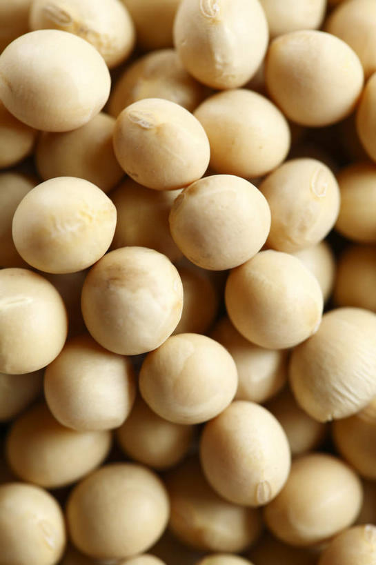 无人,竖图,俯视,室内,特写,白天,植物,豆,大豆,蔬菜,一堆,许多,新鲜,豆类,豆子,毛豆,食品,很多,饮食,食物,摄影,有机食品,绿色食品,影棚,豆制品,有机食物,豆科,枝豆,黄豆,彩图,高角度拍摄,影棚拍摄,拍摄