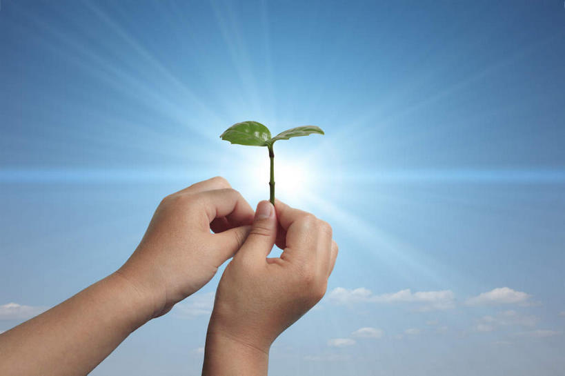 东方人,儿童,手,一个人,站,横图,室外,白天,正面,纯洁,植物,叶子,亚洲,仅一个男性,仅一个人,握,梦幻,发光,光束,云,云朵,绿叶,光亮,拿,云彩,拿着,黄种人,小孩,蓝色,绿色,白云,蓝天,天空,自然,天,站着,仅一个小孩,手部,嫩叶,可爱,童年,童趣,握着,生长,晴朗,成长,未来,发亮,童真,憧憬,烂漫,无邪,天真,男孩,男人,男性,亚洲人,孩子,叶,叶片,晴空,站立,半身,彩图,男生