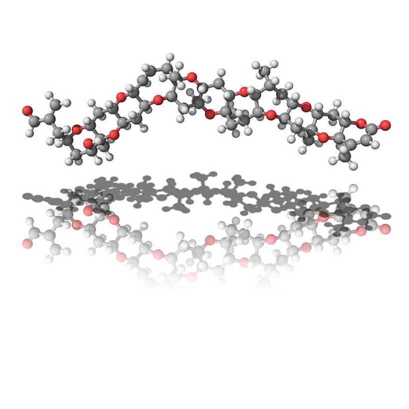 无人,方图,插画,室内,白天,白色背景,正面,数码,分子,科技,阴影,反射,网络,化学,图形,影子,高光,几何,计算机图形,合成,图画,画,红色,蓝色,白色,灰色,球体,海藻,海草,电脑合成图,数码合成图,分子结构,有毒,合成图,原子,数学,漫画,粒子,写实,具体,具象,甲藻,双鞭甲藻,分子几何,分子立体结构,分子形状,彩图,几何图形,立体几何,立体图形,毒素,短裸甲藻毒素,裸甲藻