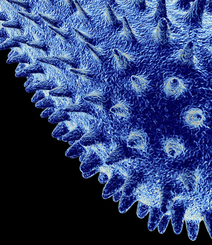 无人,竖图,室内,特写,白天,正面,数码,科技,一堆,连接,阴影,堆叠,堆积,黑色背景,组合,环绕,缠绕,网络,细胞,高光,几何,计算机图形,球形,合成,蓝色,球体,堆,链接,电脑合成图,数码合成图,拼接,拼凑,纠缠,写实,具体,具象,拼合,凑集,聚合,撮合,链结,球菌,脚底,彩图,芽孢菌