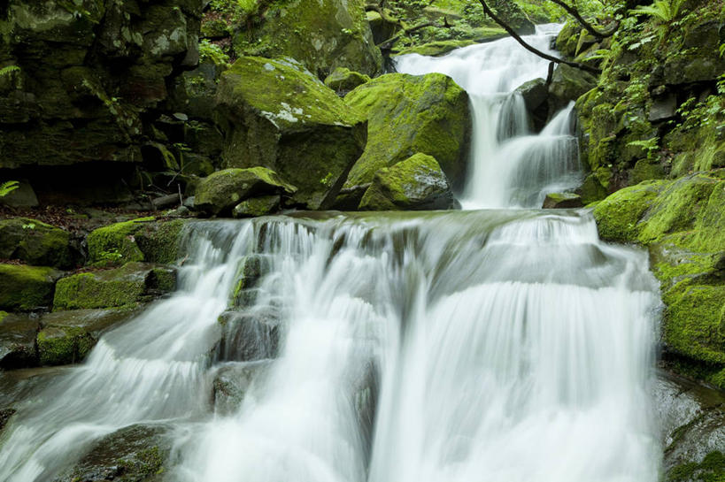无人,横图,室外,白天,正面,旅游,度假,石头,美景,瀑布,树林,水,峡谷,植物,日本,亚洲,飞溅,溅,石子,液体,景观,水滴,山谷,娱乐,水珠,树,树木,绿色,自然,享受,休闲,景色,放松,生长,成长,岩层,喷洒,自然风光,东亚,本州,本州岛,日本国,青森,青森县,东北地方,奥入濑町,奥入濑溪流,跌水,石块,岩石,彩图,上北郡