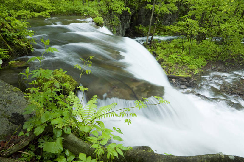 无人,横图,俯视,室外,白天,旅游,度假,河流,石头,美景,树林,水,植物,日本,亚洲,飞溅,溅,石子,液体,河水,景观,水滴,水流,娱乐,水珠,树,树木,绿色,小溪,自然,溪水,享受,休闲,景色,放松,生长,成长,喷洒,自然风光,东亚,本州,本州岛,日本国,青森,青森县,东北地方,奥入濑町,奥入濑溪流,石块,岩石,彩图,高角度拍摄,上北郡
