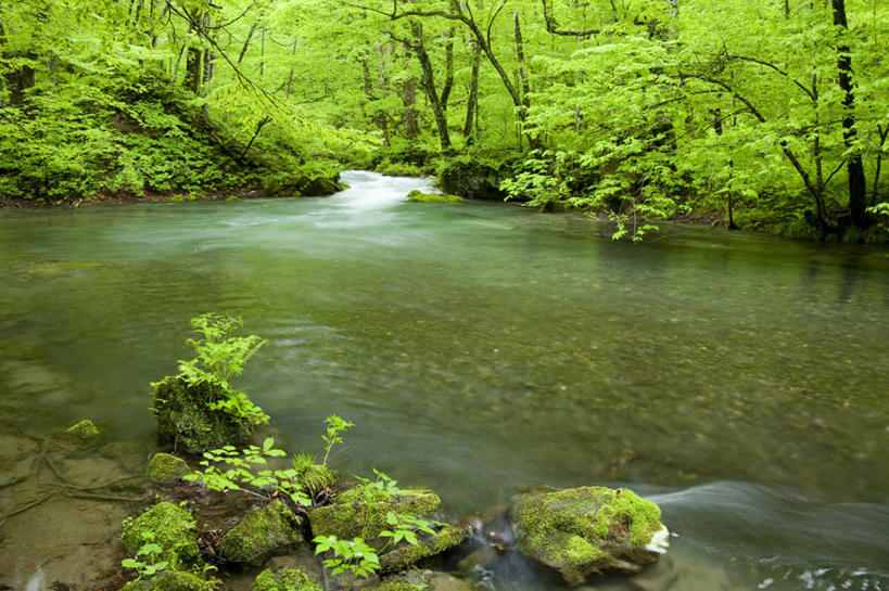 无人,横图,室外,白天,正面,长时间曝光,旅游,度假,河流,石头,美景,树林,水,植物,日本,亚洲,阴影,飞溅,溅,光线,石子,液体,影子,河水,景观,水滴,水流,娱乐,水珠,树,树木,绿色,小溪,阳光,自然,溪水,享受,休闲,景色,放松,生长,成长,喷洒,自然风光,曝光,东亚,本州,本州岛,日本国,青森,青森县,东北地方,奥入濑町,奥入濑溪流,石块,岩石,彩图,上北郡