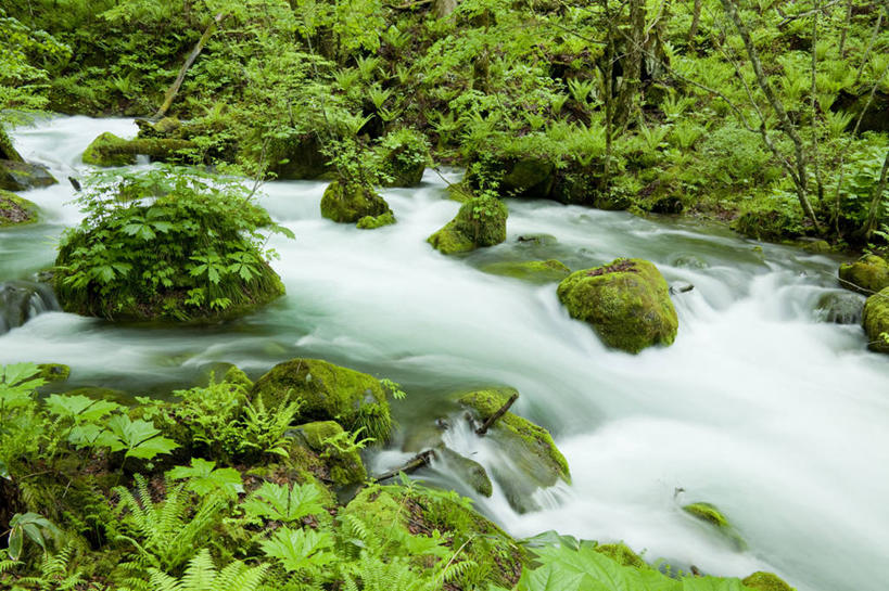 无人,横图,俯视,室外,白天,旅游,度假,河流,石头,美景,树林,水,峡谷,植物,日本,亚洲,飞溅,溅,石子,液体,河水,景观,水滴,水流,山谷,娱乐,水珠,树,树木,绿色,小溪,自然,溪水,享受,休闲,景色,放松,生长,成长,岩层,喷洒,自然风光,东亚,本州,本州岛,日本国,青森,青森县,东北地方,奥入濑町,奥入濑溪流,石块,岩石,彩图,高角度拍摄,上北郡