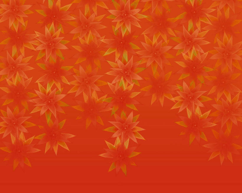 无人,横图,插画,室内,特写,白天,正面,数码,科技,许多,阴影,红色背景,盛开,网络,高光,几何,计算机图形,合成,花蕾,图画,画,花,花瓣,花朵,鲜花,红色,花苞,花蕊,电脑合成图,数码合成图,漫画,写实,具体,具象,孔雀兰,孔雀仙人掌,令箭荷花,令箭花,彩图
