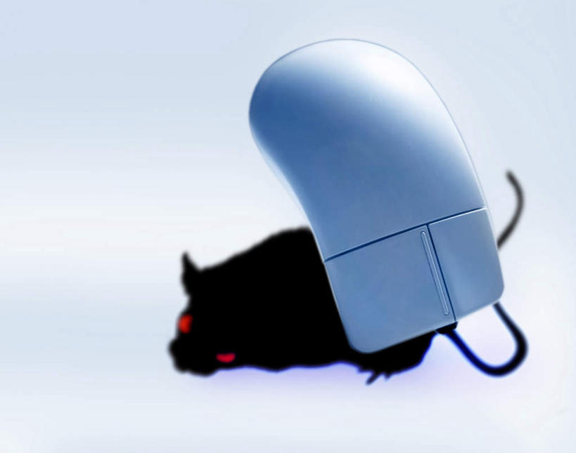 无人,横图,室内,白天,白色背景,正面,鼠标,键盘,数码,科技,野生动物,老鼠,阴影,网络,细菌,高光,几何,计算机图形,合成,输入设备,通讯设备,一只,黑色,动物,电脑合成图,数码合成图,通信设备,病菌,写实,具体,具象,传染,四害,耗子,彩图