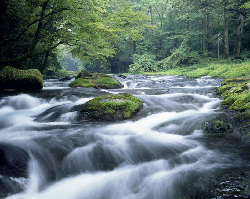 无人,横图,室外,白天,正面,旅游,度假,河流,石头,美景,瀑布,水,日本,亚洲,飞溅,朦胧,模糊,溅,石子,液体,河水,景观,水滴,水流,青苔,苔藓,娱乐,水珠,小溪,自然,溪水,享受,休闲,景色,放松,喷洒,自然风光,东亚,日本国,九州本岛,九州,九州岛,九州地方,熊本,熊本县,菊池溪谷,跌水,石块,岩石,彩图,菊池市