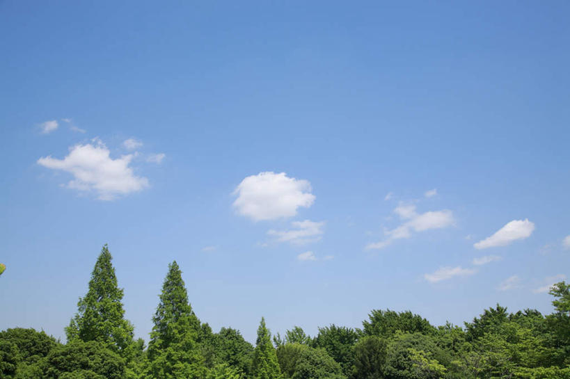 无人,横图,室外,白天,仰视,旅游,度假,美景,树林,植物,东京,日本,亚洲,阴影,光线,影子,景观,云,云朵,云彩,娱乐,树,树木,蓝色,绿色,白云,蓝天,天空,阳光,自然,天,享受,休闲,景色,放松,生长,晴朗,成长,自然风光,东亚,本州,关东地方,本州岛,日本国,东京都,晴空,彩图,低角度拍摄