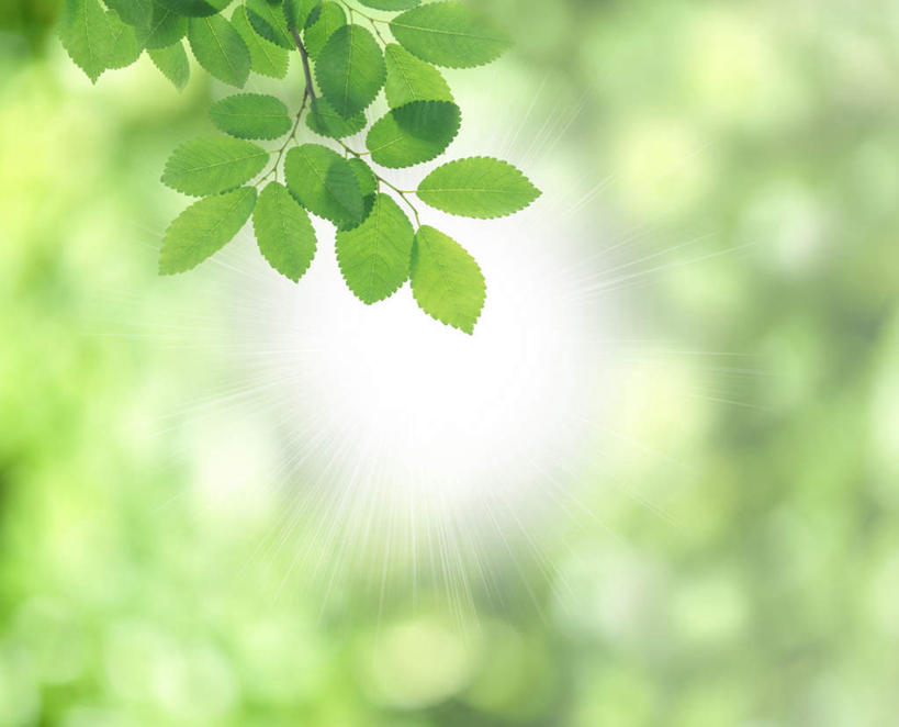 无人,横图,室内,白天,正面,数码,科技,植物,叶子,许多,阴影,朦胧,模糊,网络,纹理,绿叶,背光,高光,几何,计算机图形,合成,树枝,绿色,嫩叶,电脑合成图,数码合成图,逆光,肌理,写实,具体,具象,叶,叶片,叶脉,彩图