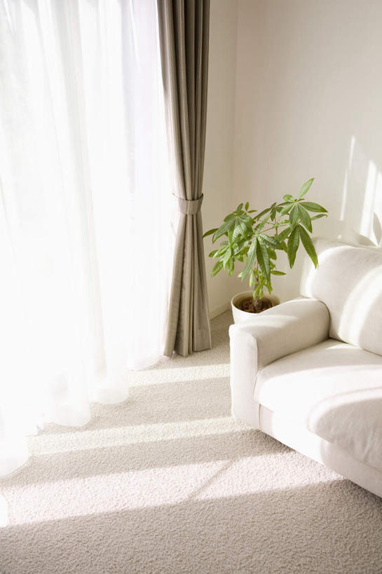 无人,家,客厅,竖图,室内,白天,正面,植物,别墅,窗户,窗帘,家具,装修,建筑,欧式,阴影,装饰,光线,盆栽,影子,房屋,屋子,公寓,盆景,豪华,建设,现代,装潢,洋房,楼房,玻璃窗,住宅,绿色,自然,帘子,室内装潢,遮阳,生长,成长,华丽,修饰,明亮,点缀,起居室,舒适,家居装潢,房屋设计,地中海风格,古典风格,简约风格,室内设计,宽敞,样板房装潢,衬托,美观,雅致,雅观,设计,彩图,房子