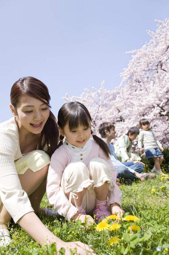 东方人,儿童,两个人,家庭,母亲,女儿,蹲,笑,微笑,露齿笑,竖图,室外,白天,正面,纯洁,草地,草坪,植物,樱花,亚洲,握,服装,朦胧,模糊,盛开,拿,花蕾,拿着,休闲装,黄种人,草,花,花瓣,花朵,鲜花,小孩,衣服,黄色,蓝色,绿色,白色,蓝天,天空,天,花苞,花蕊,休闲,温暖,温馨,母女,一家人,休闲服,可爱,母爱,童年,童趣,握着,服饰,晴朗,和睦,童真,烂漫,无邪,万里无云,仙樱花,福岛樱,青肤樱,天真,年轻女性,女孩,女人,女性,亚洲人,孩子,年轻人,晴空,晴空万里,荆桃,蹲着,半身,彩图,融洽,女生