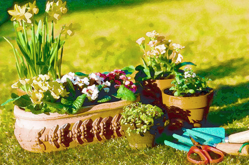 无人,横图,俯视,室内,特写,白天,绘画,数码,科技,植物,修剪,阴影,朦胧,模糊,艺术,盛开,光线,网络,工具,剪刀,盆栽,影子,盆景,高光,几何,计算机图形,古典,合成,花蕾,文化,花,花瓣,花朵,鲜花,绿色,白色,阳光,自然,工艺品,花苞,花蕊,品味,生长,成长,裁剪,美术,电脑合成图,数码合成图,水彩,水彩画,剪子,剪裁,切割,高雅,写实,具体,具象,美学,彩图,高角度拍摄